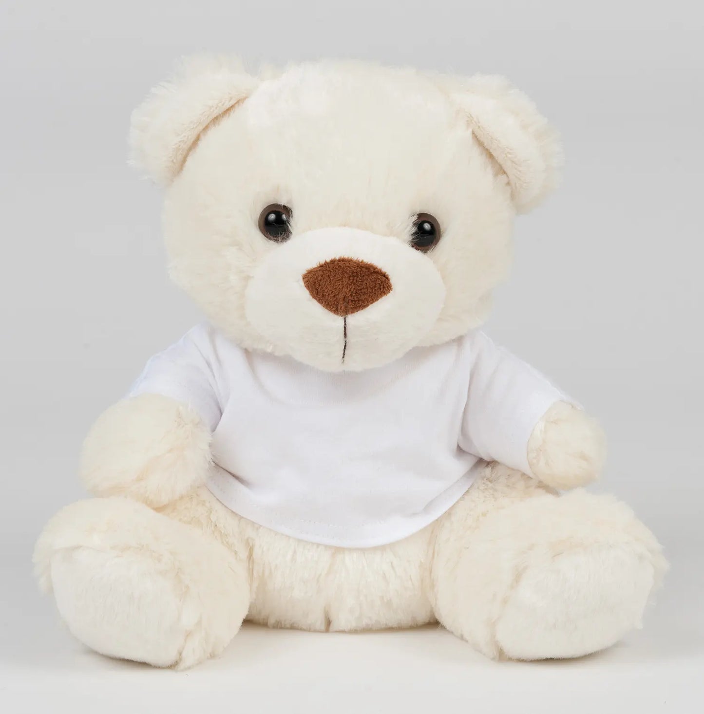 Personalised Bear in a T-Shirt
